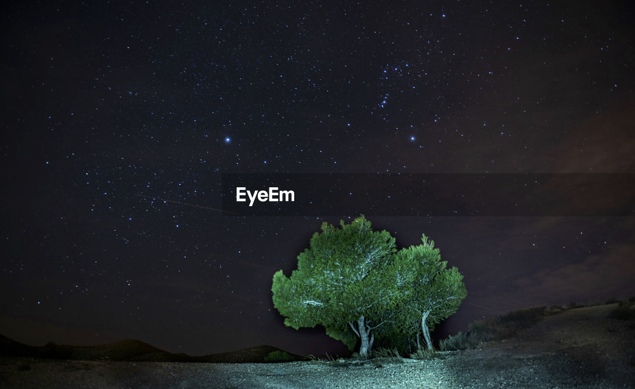 Scenic view of star field against sky at night