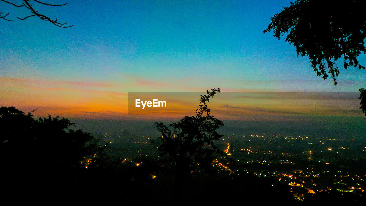 TREES AGAINST SKY AT SUNSET