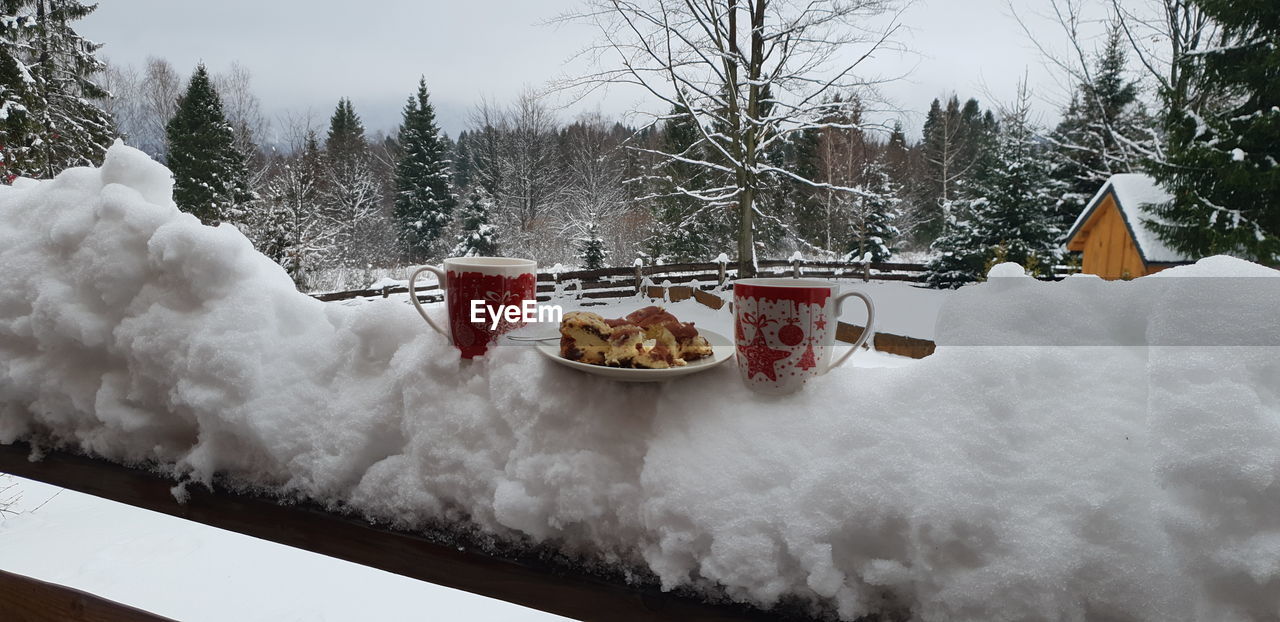 PANORAMIC VIEW OF ICE CREAM IN SNOW