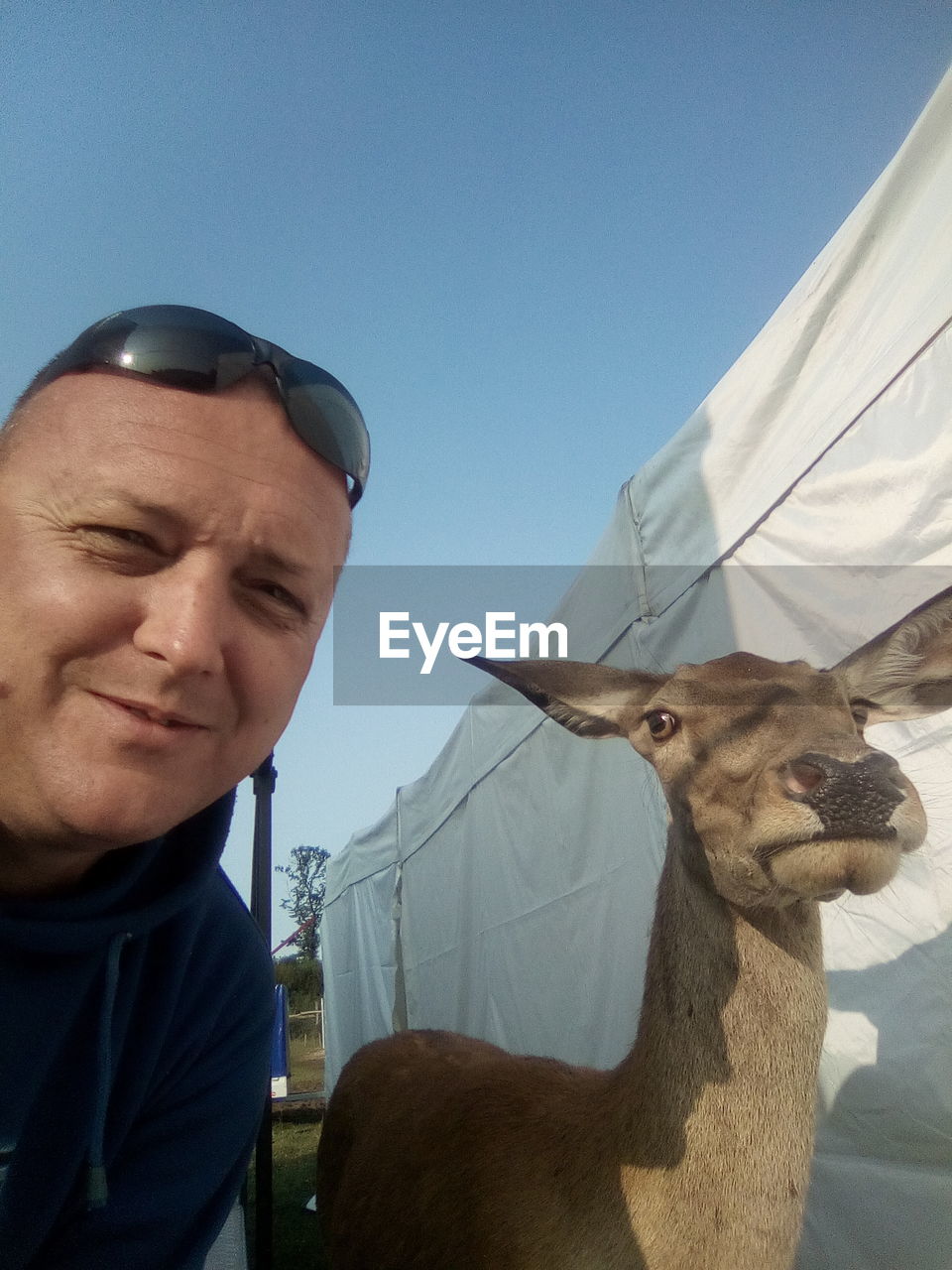 Portrait of smiling man with deer