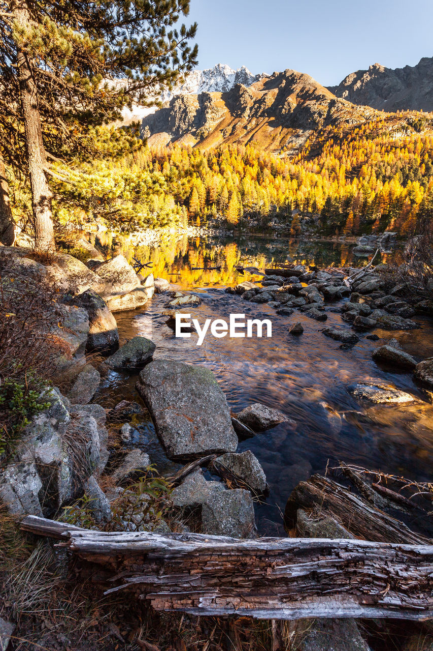 VIEW OF STREAM FLOWING THROUGH ROCKS IN FOREST