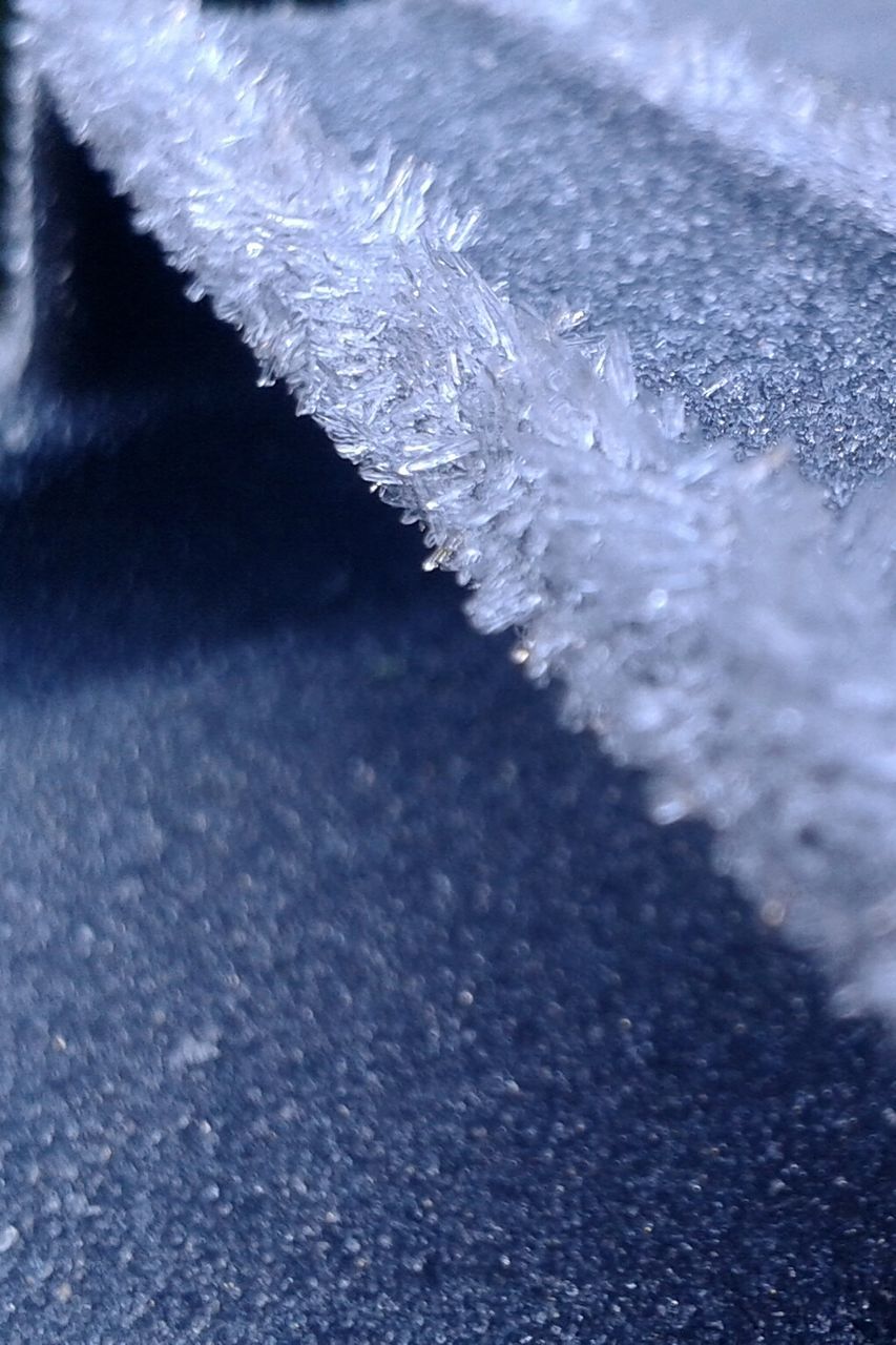 CLOSE-UP OF WATER DROPS ON PLANT