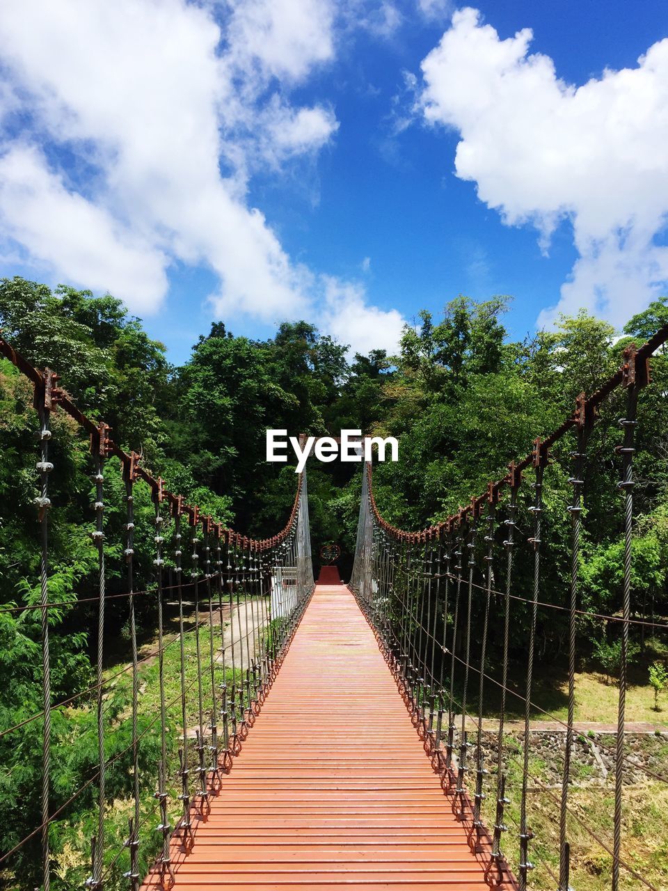 Rope bridge against trees