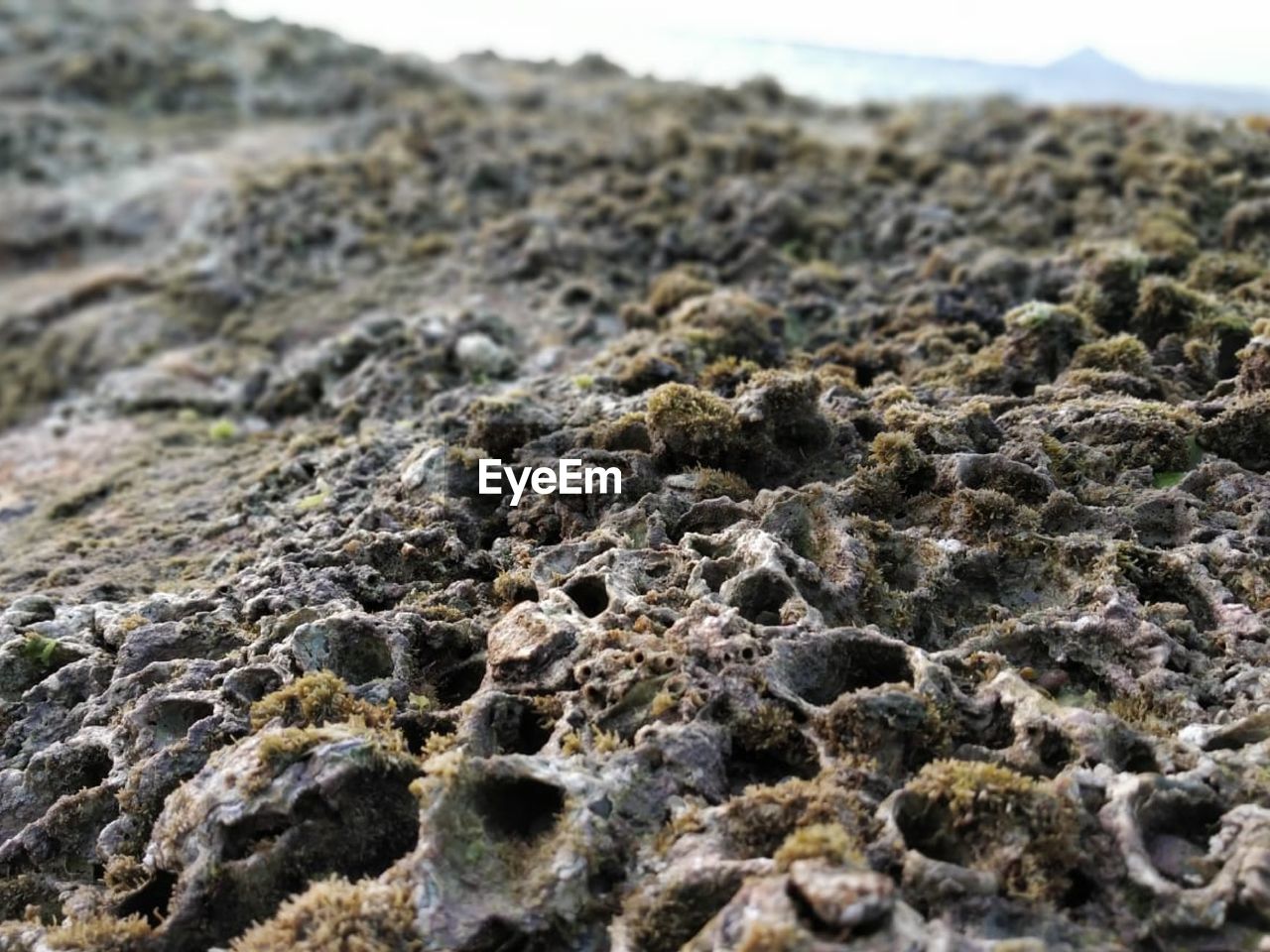 SURFACE LEVEL OF ROCKS ON LAND