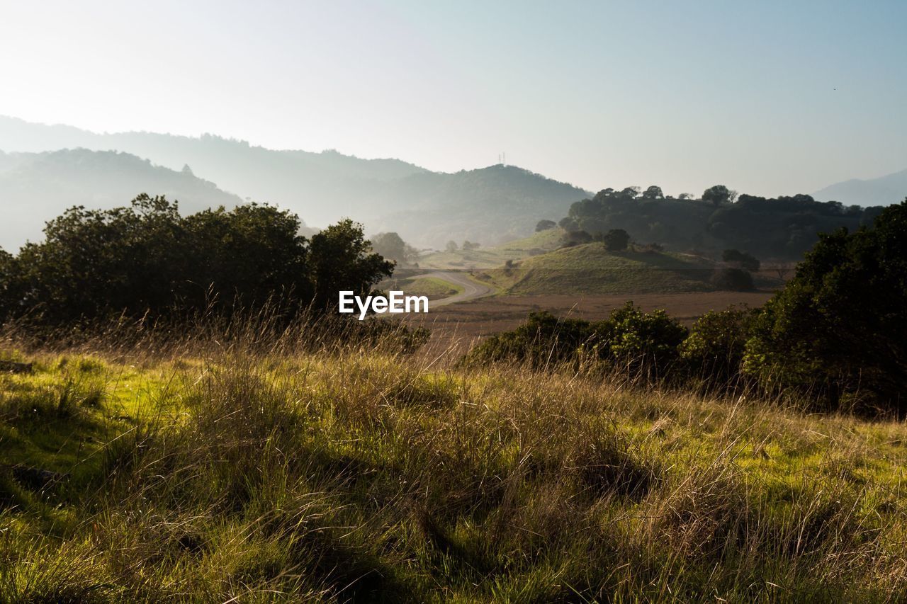 SCENIC VIEW OF FIELD AND MOUNTAINS AGAINST CLEAR SKY