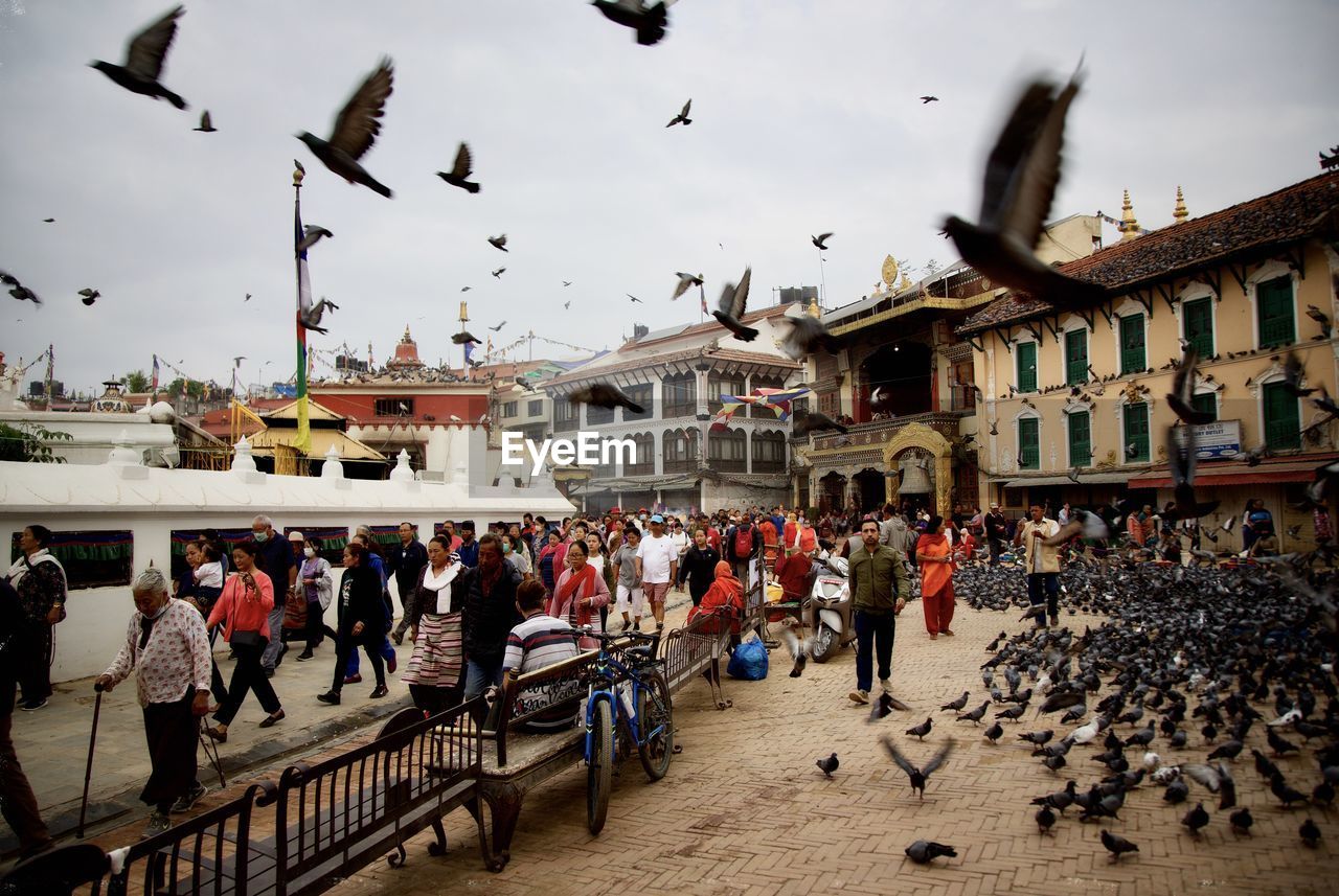 GROUP OF PEOPLE ON BIRDS AGAINST SKY