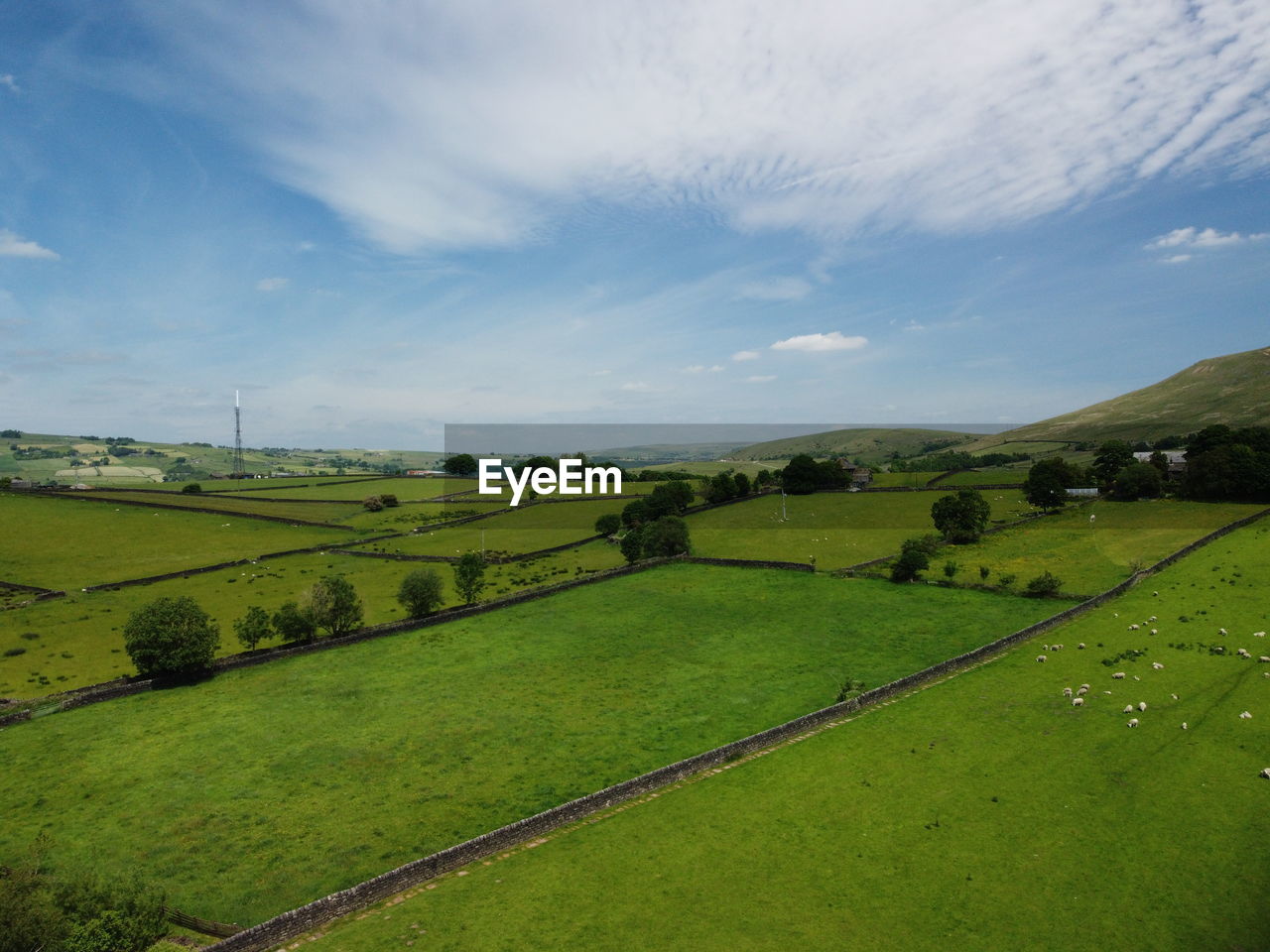 SCENIC VIEW OF FARM AGAINST SKY