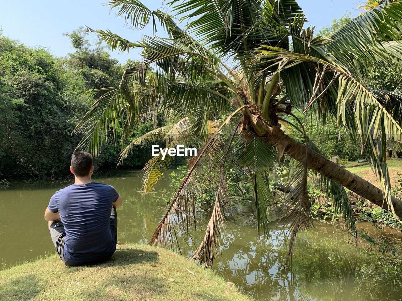 Rear view of man on palm trees