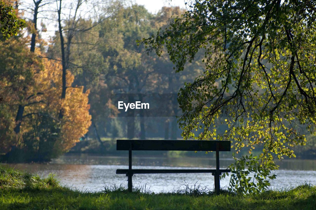 Scenic view of lake in forest during autumn