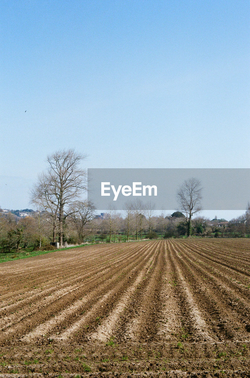FIELD AGAINST SKY