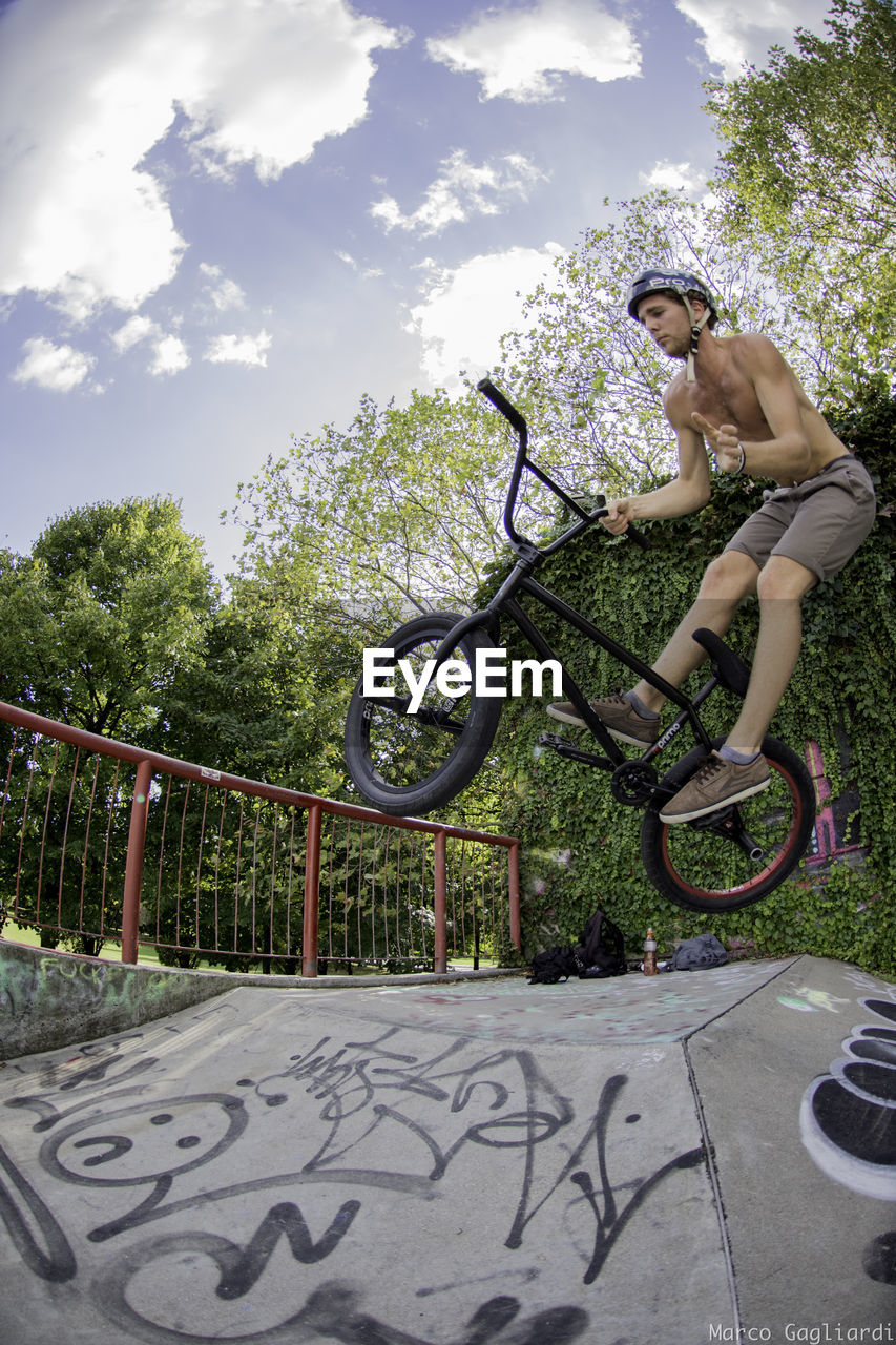 YOUNG MAN RIDING BICYCLE ON PLANTS