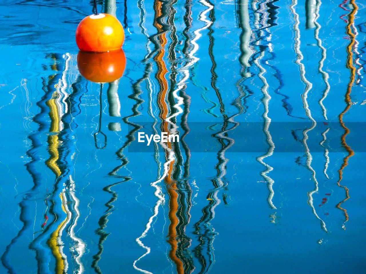 CLOSE-UP OF JELLYFISH SWIMMING UNDERWATER