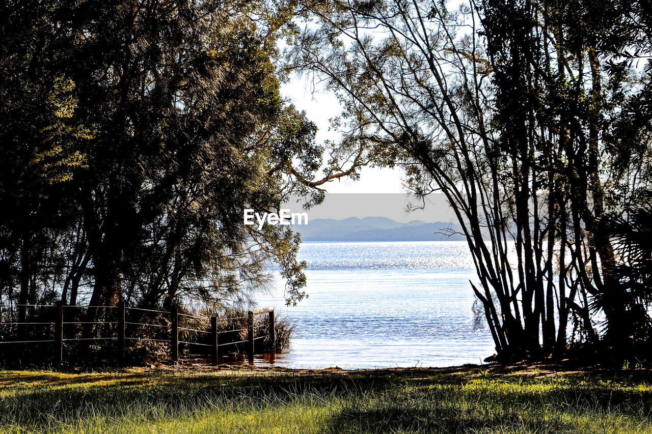 SCENIC VIEW OF SEA AND TREE AGAINST SKY