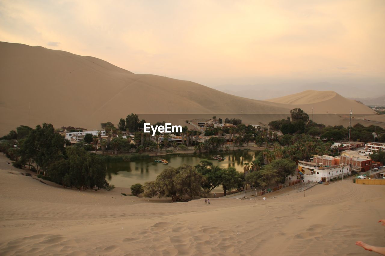 Scenic view of oasis in desert