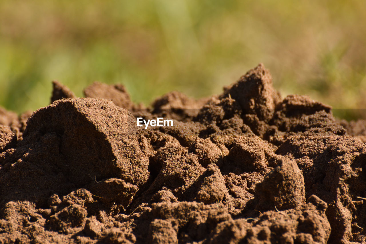 Damp fertile sandy soil dirt heap