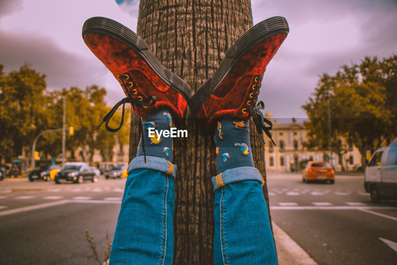 Low section of person with feet up on tree