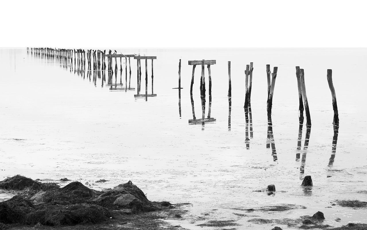 WOODEN POSTS IN SEA