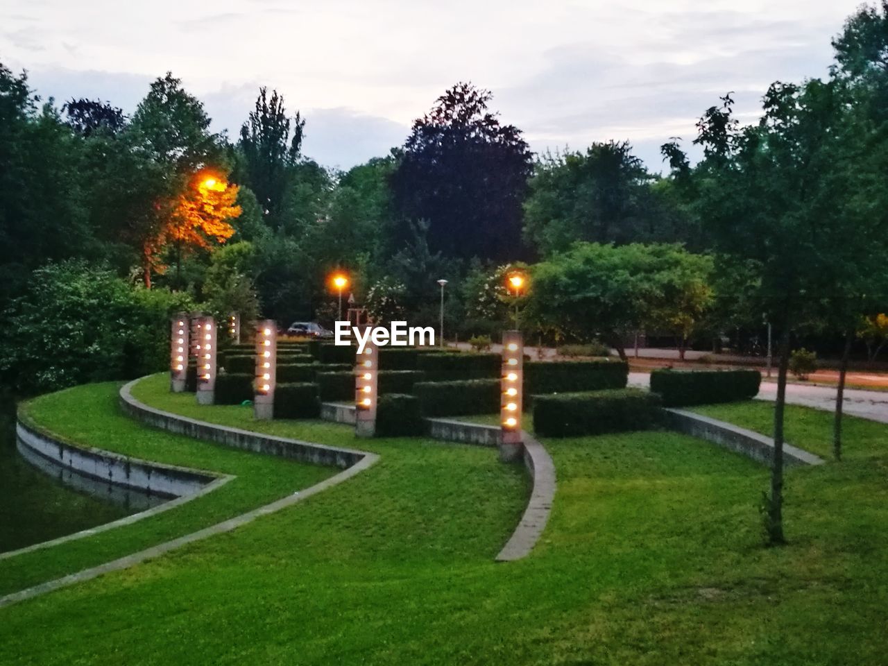 ILLUMINATED TREES ON GRASS