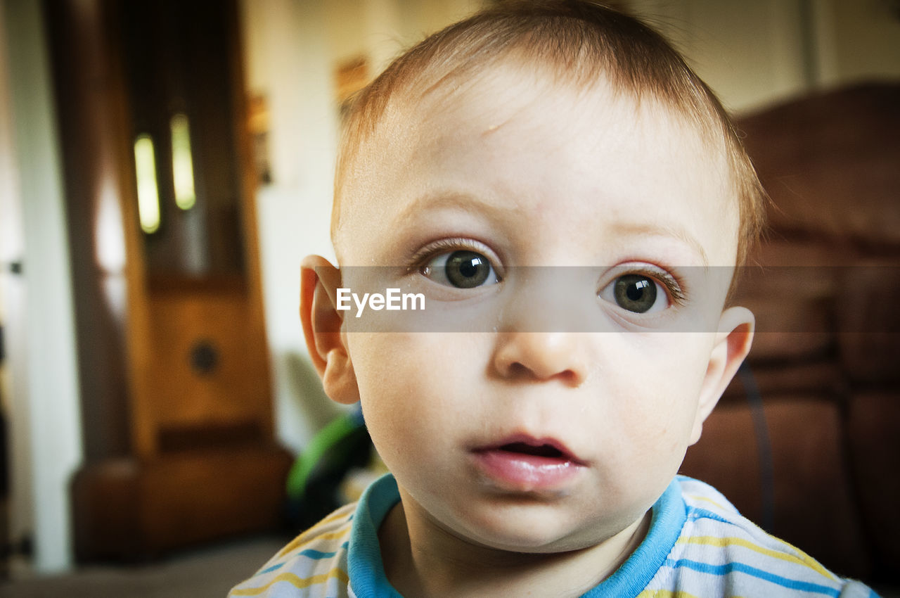 Portrait of cute boy at home