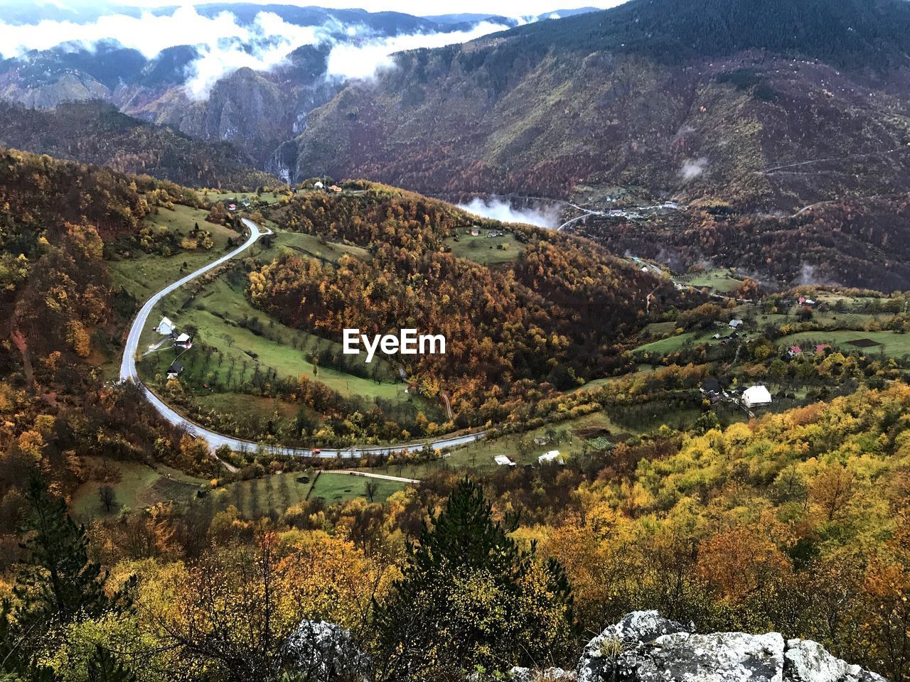 HIGH ANGLE VIEW OF ROAD AMIDST TREES