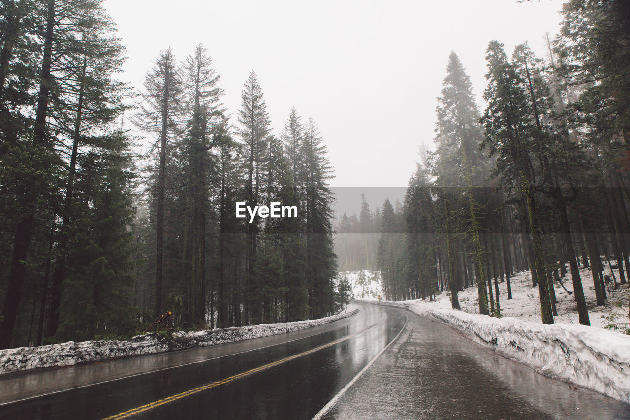 Road amidst trees in forest against sky