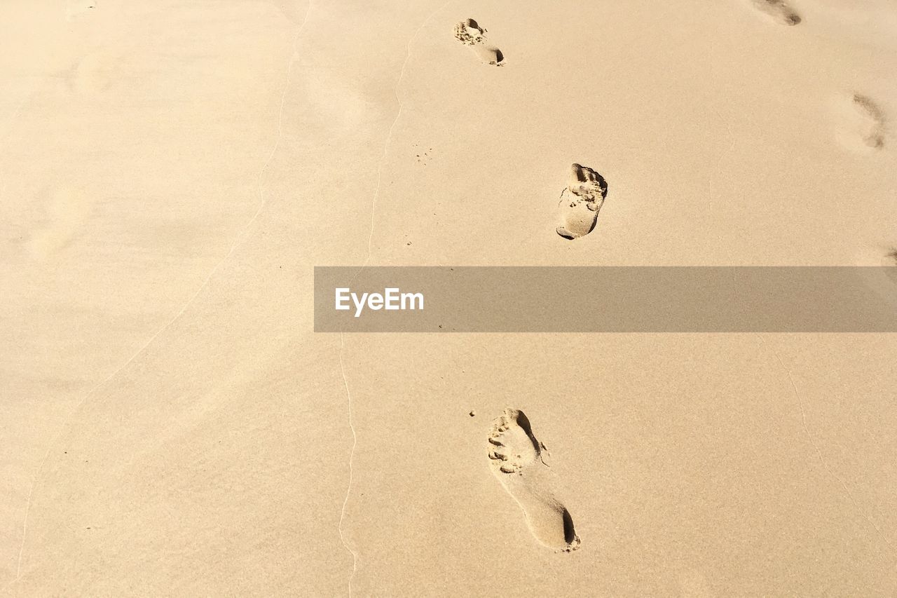 HIGH ANGLE VIEW OF FOOTPRINTS IN SAND