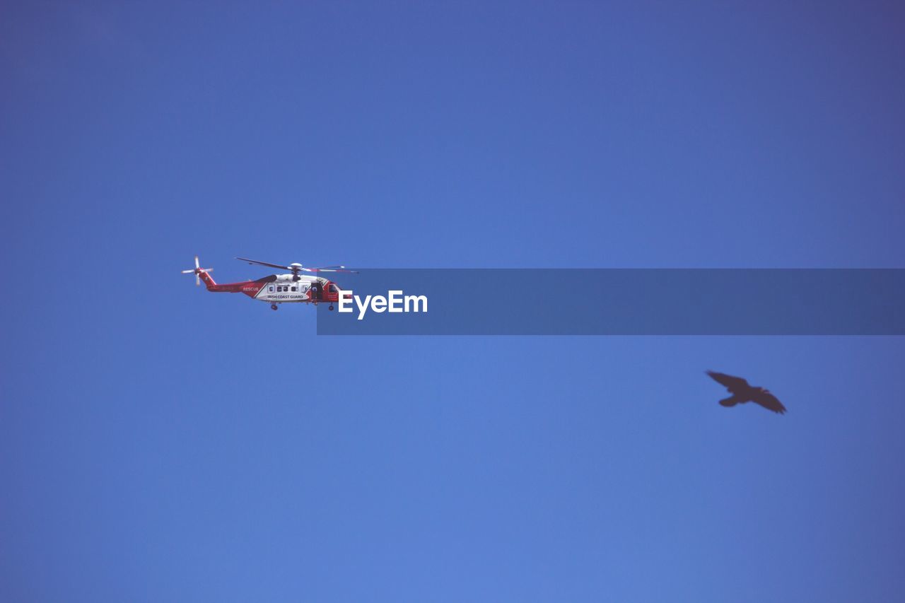 LOW ANGLE VIEW OF AIRPLANE FLYING IN SKY