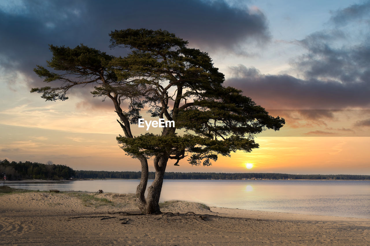 Beautiful sunset on white sand beach in ahus on the swedish east coast.