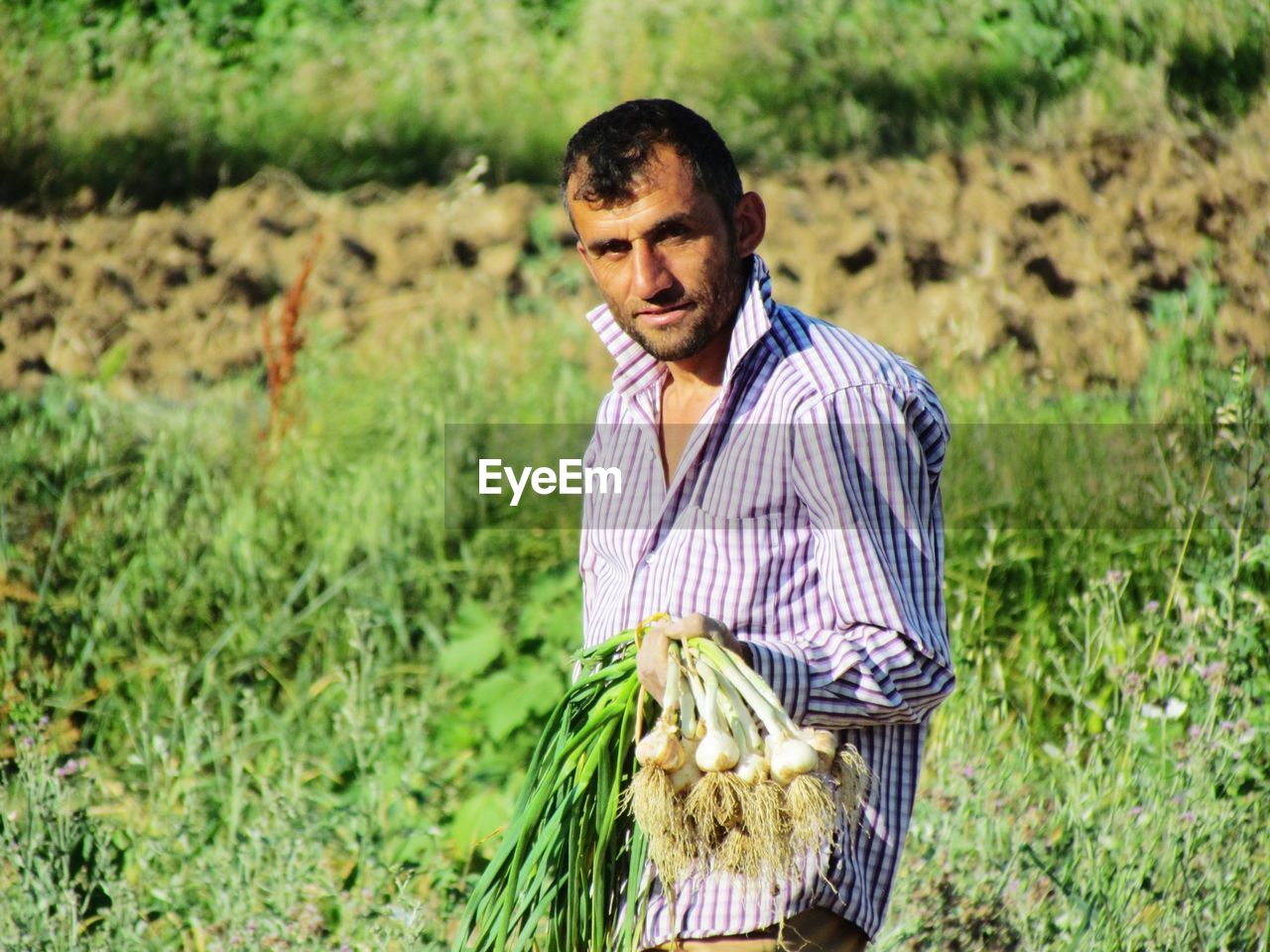 Portrait of farmer holding scallions while standing at farm