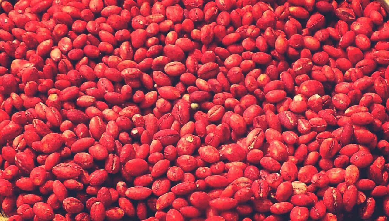 Close-up of red seeds