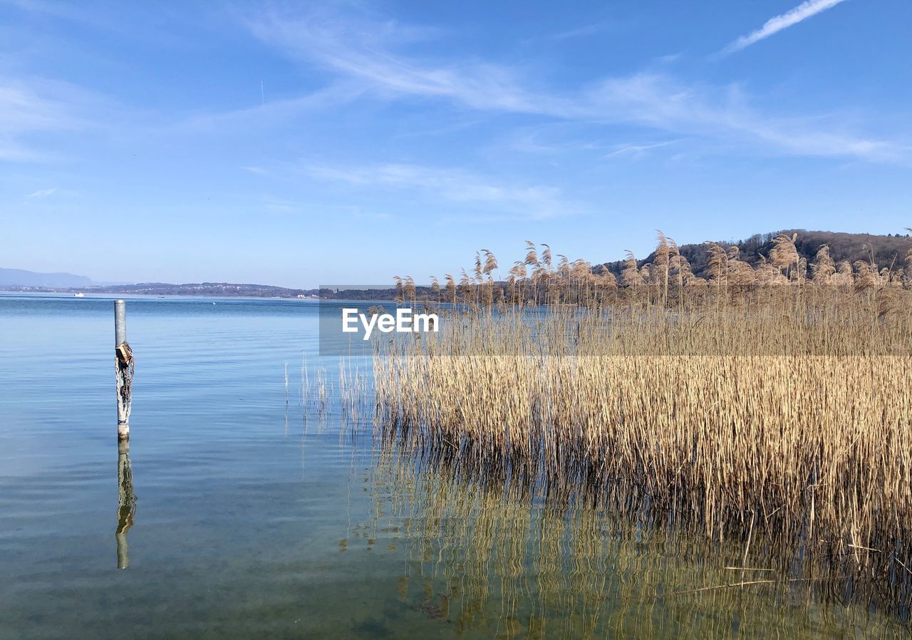 Scenic view of lake against sky