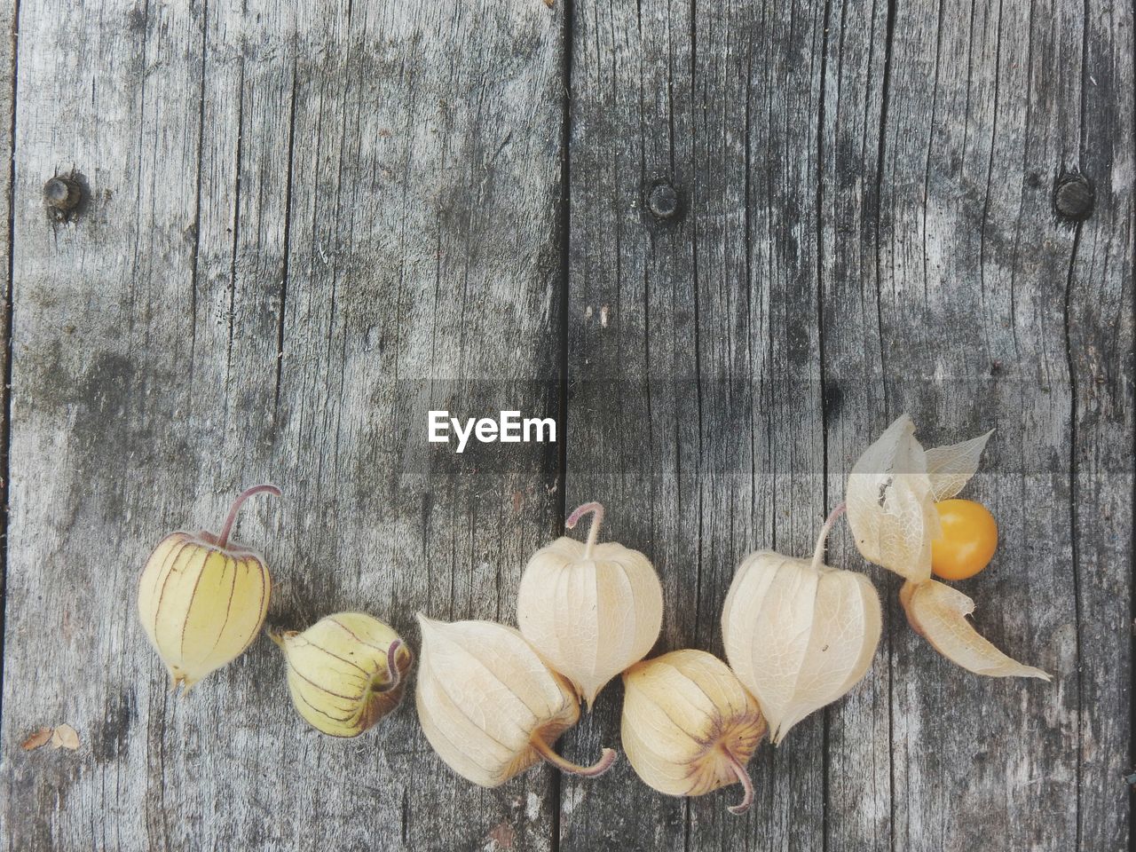 High angle view of winter cherries on wooden table