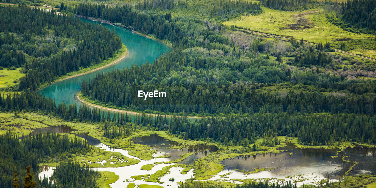 Aerial view of blue river snaking through forest