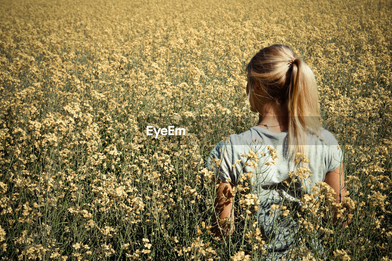 Rear view of woman standing amidst flowering field