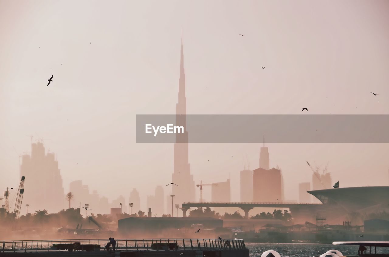 Birds flying over bay against dubai skyline