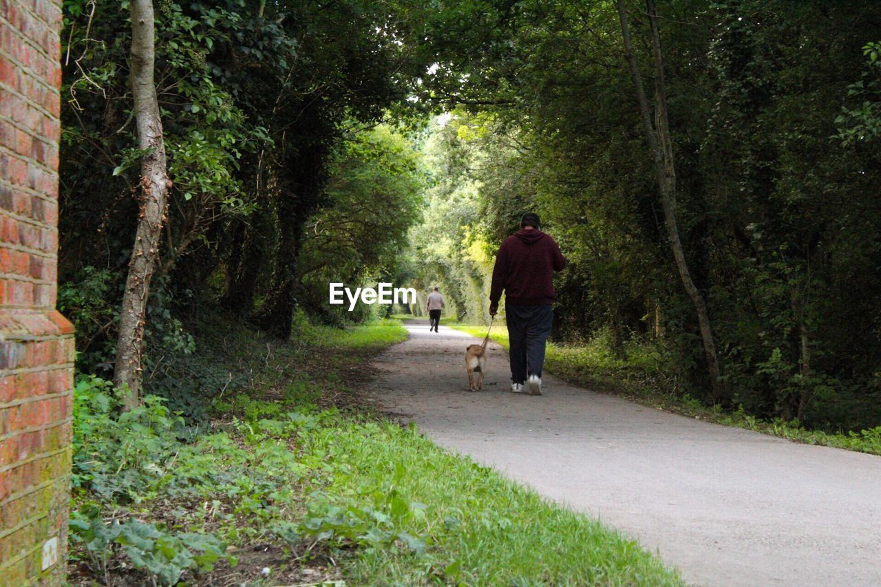 Rear view of a man walking on road in forest