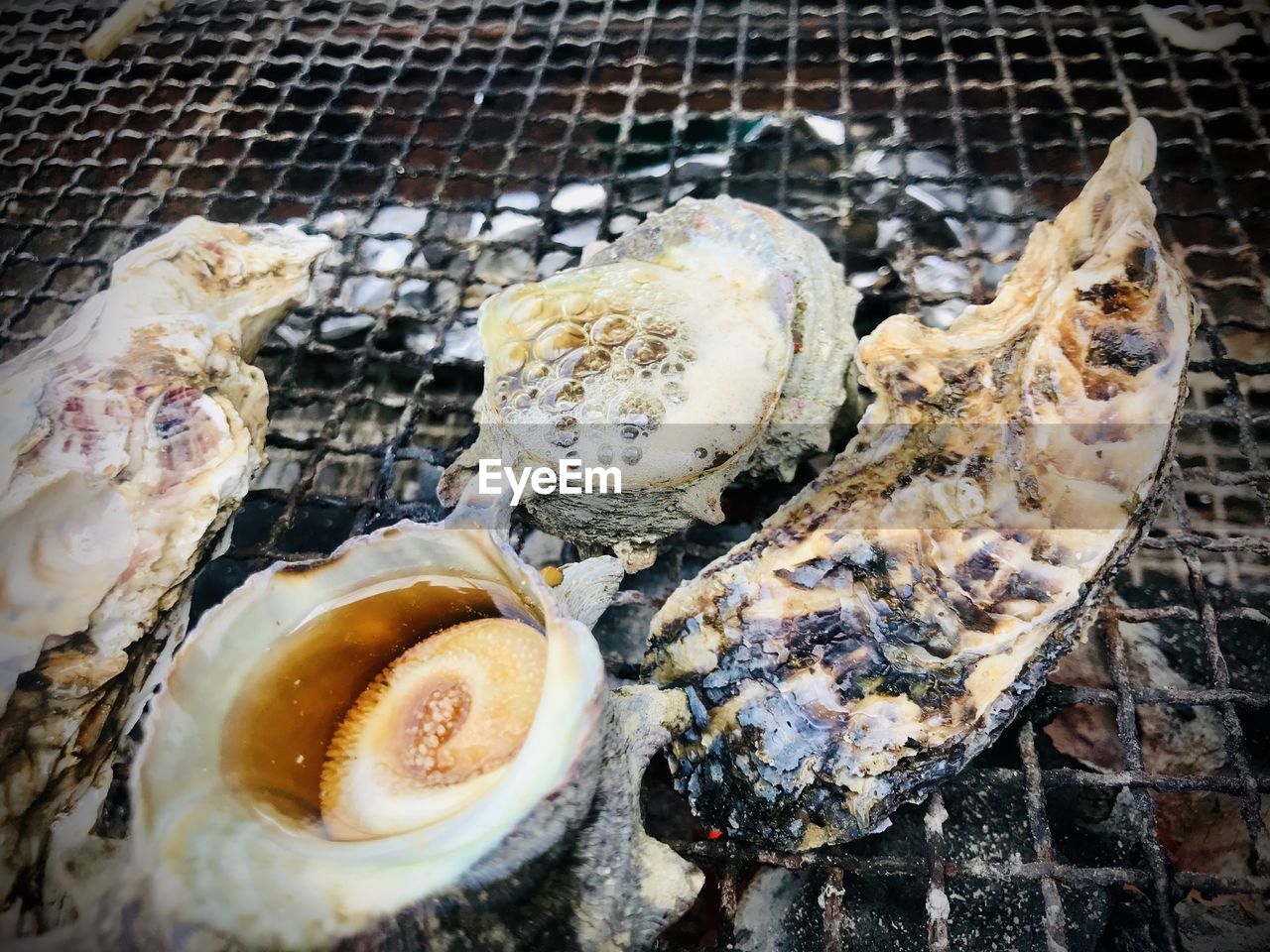 High angle view of seafood on barbecue grill