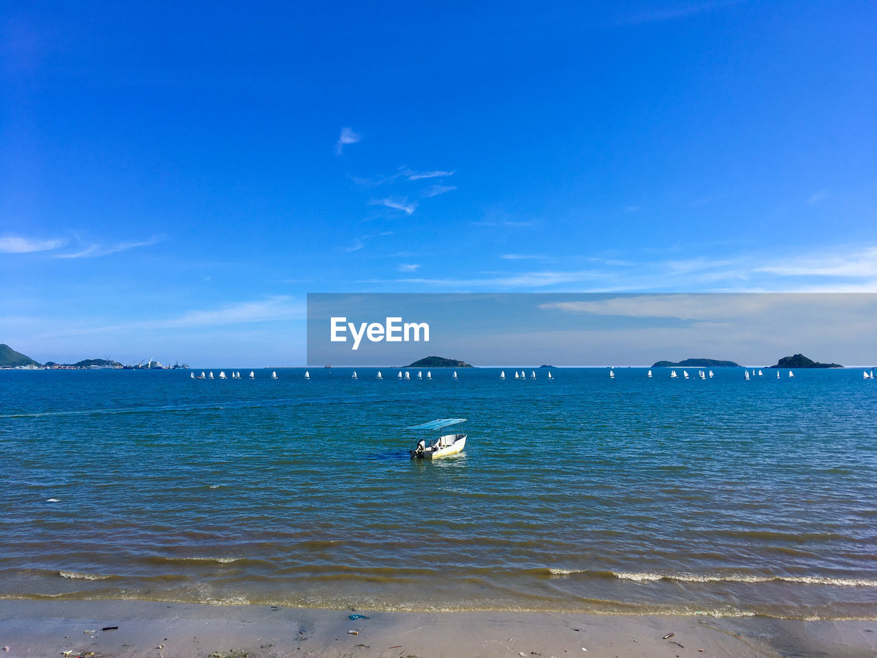 VIEW OF SEAGULLS ON SEA