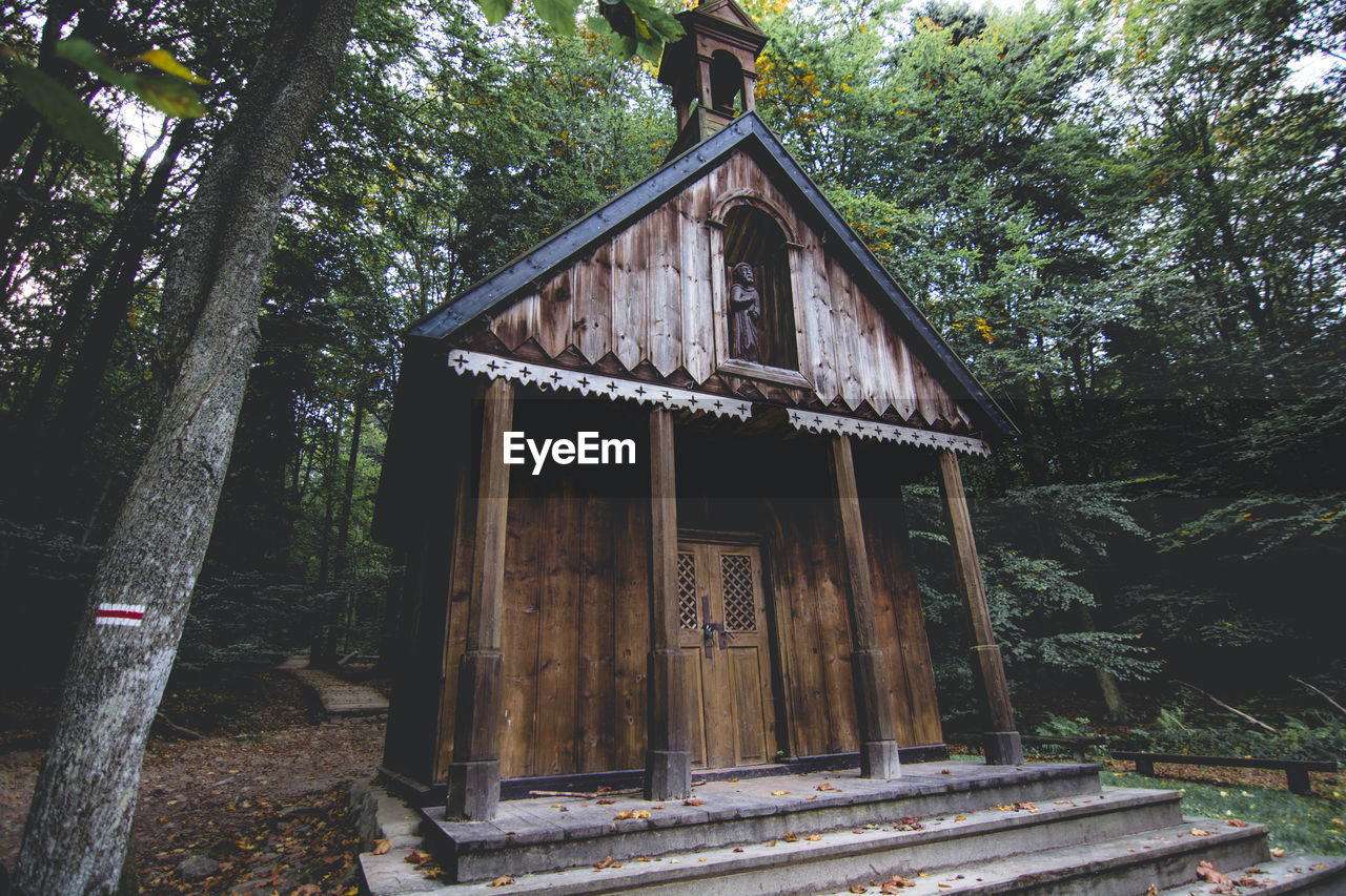 LOW ANGLE VIEW OF OLD HOUSE IN FOREST