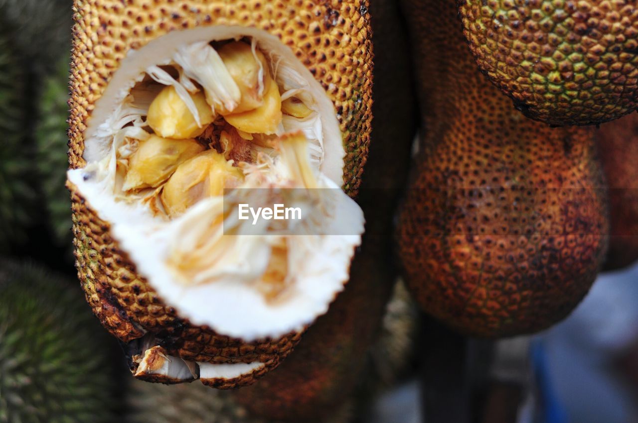 Close-up of jackfruit