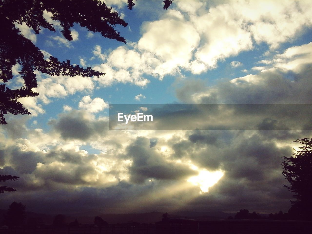 Low angle view of silhouette trees against cloudy sky