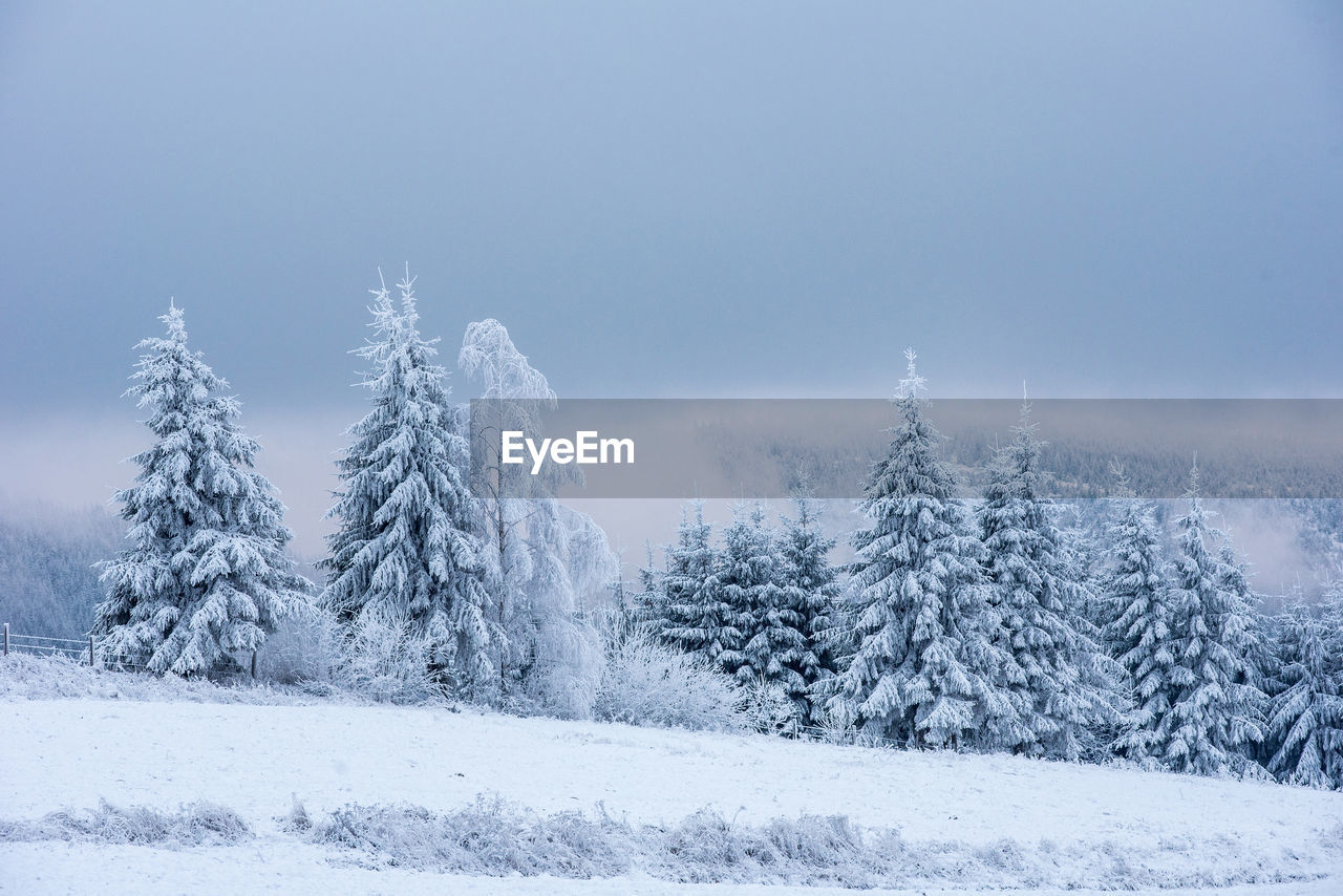 Snow covered frozen trees in the mountains. christmas time, winter fairy holiday concept