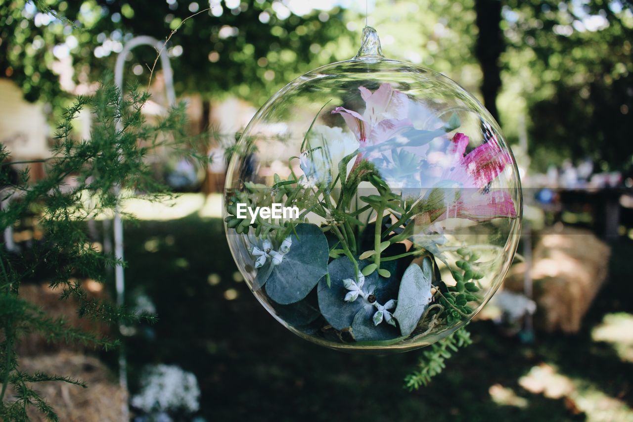 CLOSE-UP OF BUBBLES IN GLASS