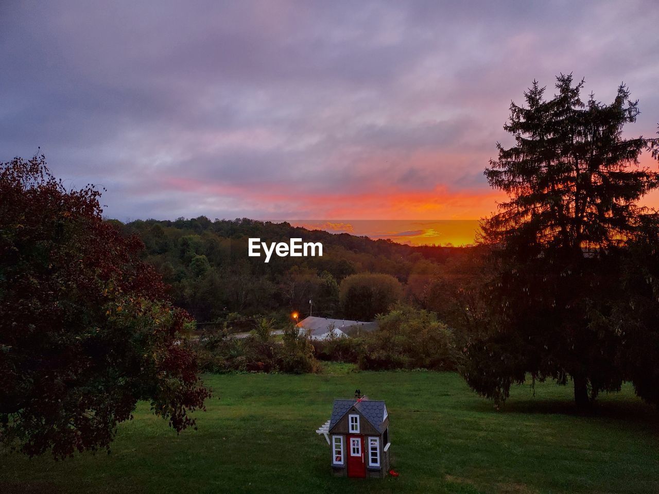 TREES ON FIELD AGAINST SKY AT SUNSET