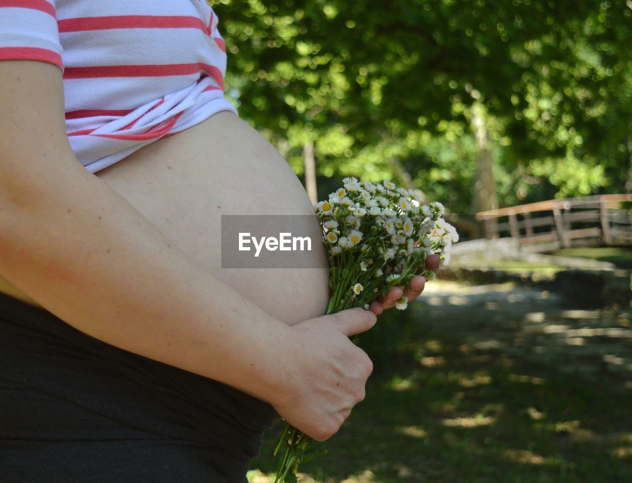 Midsection of pregnant woman holding bouquet 