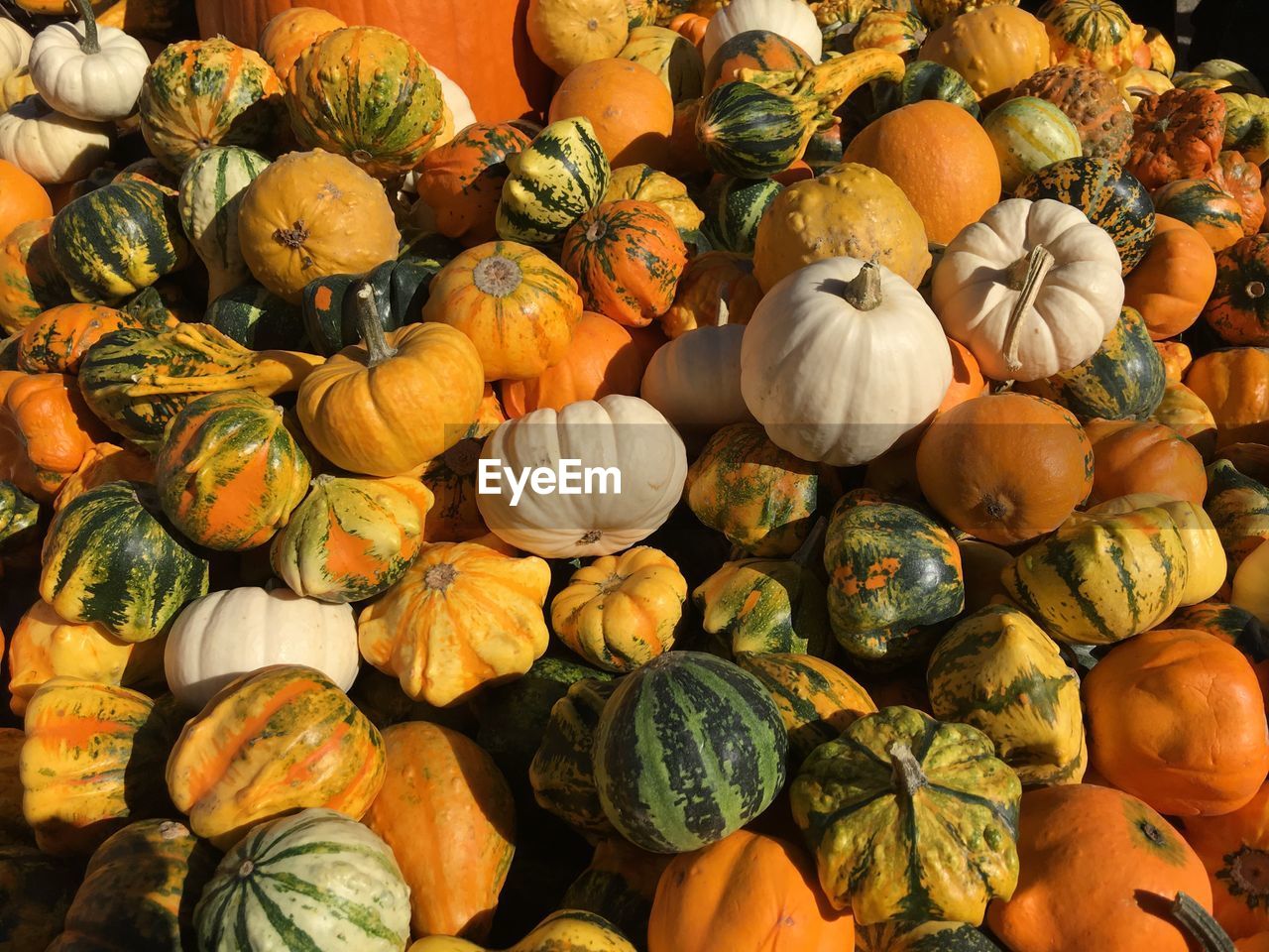 Full frame shot of pumpkins for sale at market