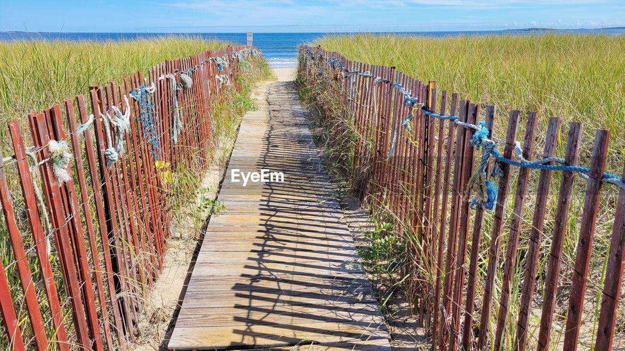 agriculture, walkway, land, nature, plant, landscape, the way forward, field, footpath, sky, fence, no people, rural scene, day, diminishing perspective, in a row, tranquility, wood, scenics - nature, environment, outdoor structure, beauty in nature, grass, tranquil scene, growth, boardwalk, security, outdoors, crop, protection, horizon, vanishing point, farm, water, sunlight, beach, green, cloud, non-urban scene