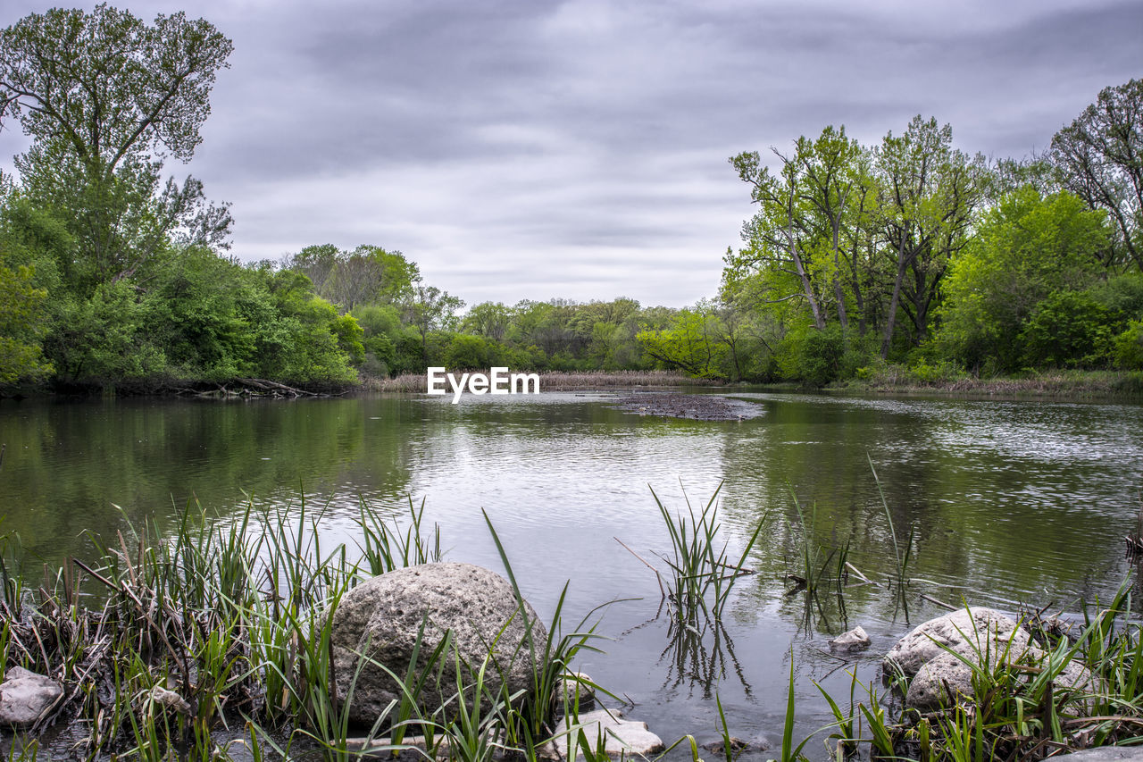 SCENIC VIEW OF LAKE WITH TREES AGAINST SKY