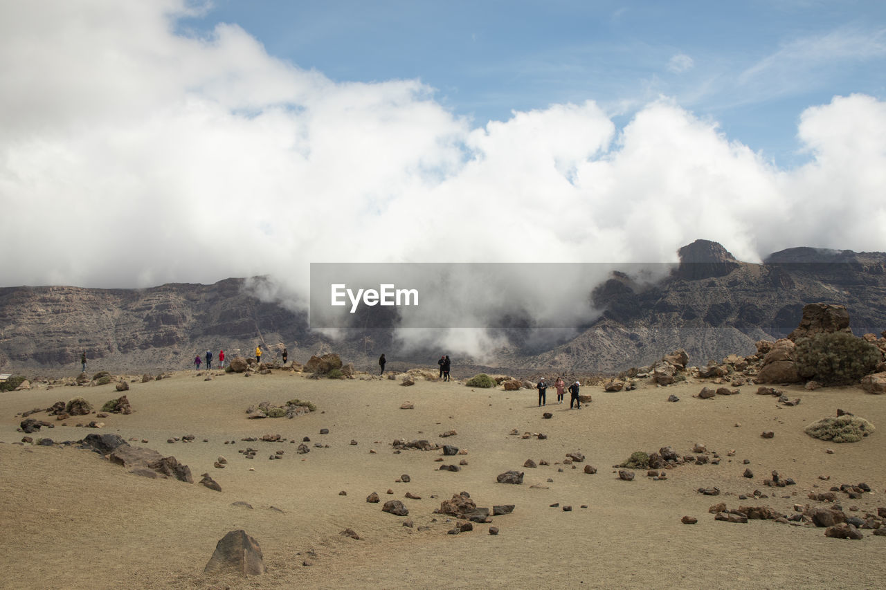 PANORAMIC VIEW OF LANDSCAPE