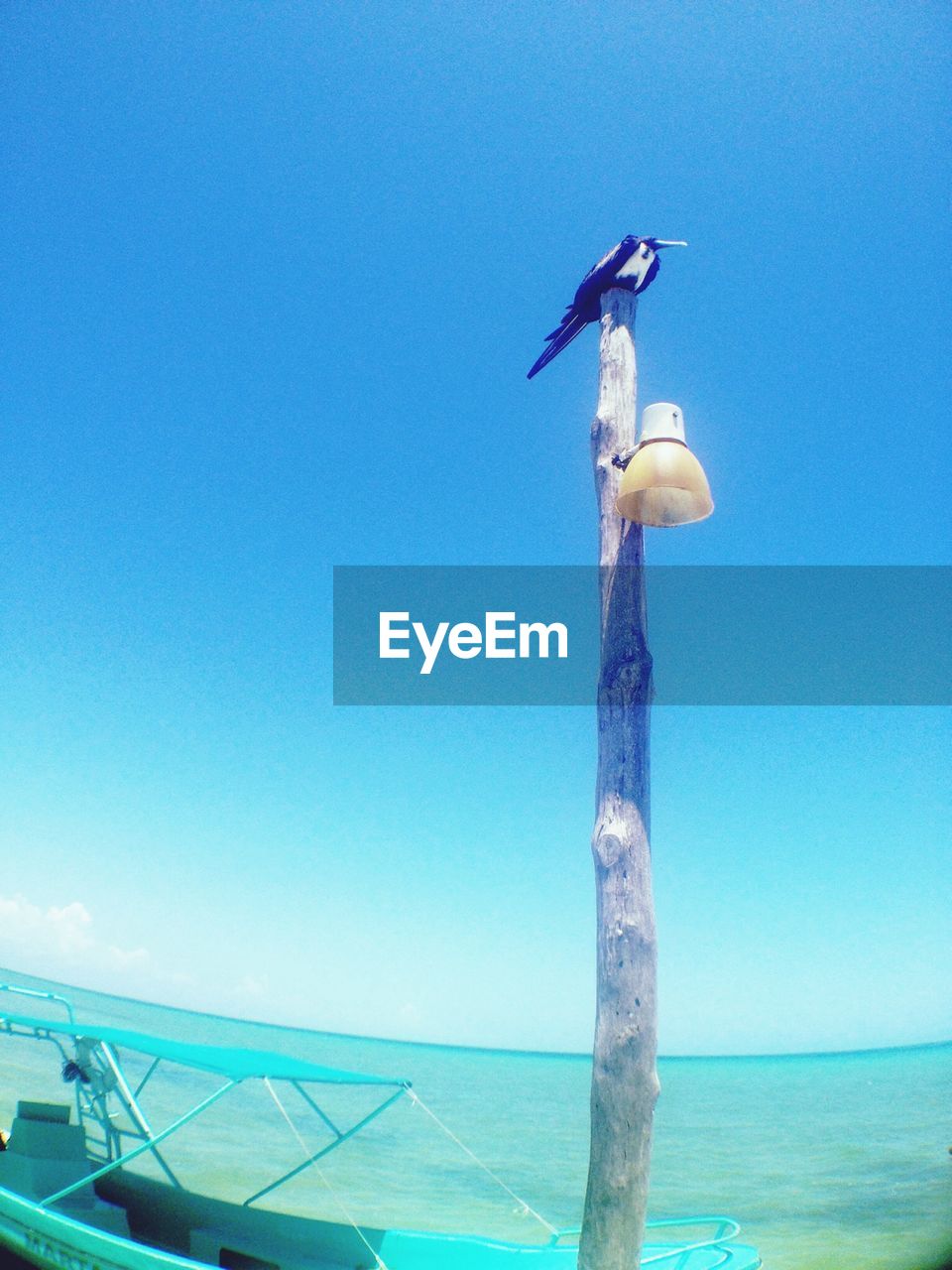 Low angle view of bird perching on top of wooden post with light fixture against sky